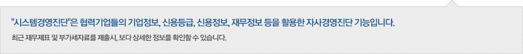시스템경영진단